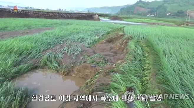 홍수로 물에 잠긴 북한 농경지 [연합뉴스 자료사진]