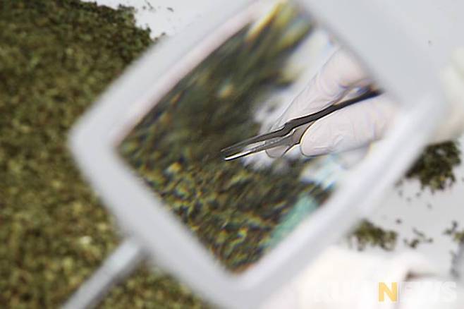 사진=안세진 기자