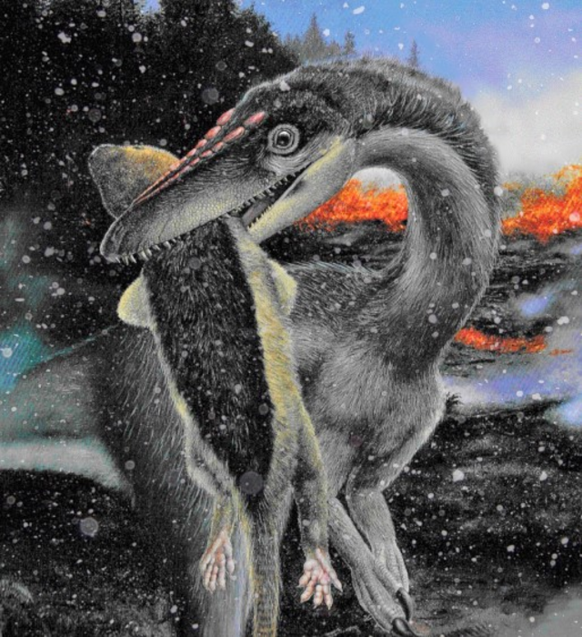 4차 대멸종에도 살아남은 공룡, 기후 적응 덕분 - 중생대 트라이아스기 4차 대멸종 때 극지방으로 이동한 공룡들은 살아남아 이후 쥐라기와 백악기에 지구를 지배하는 종이 될 수 있었다.사이언스 어드밴시즈 제공