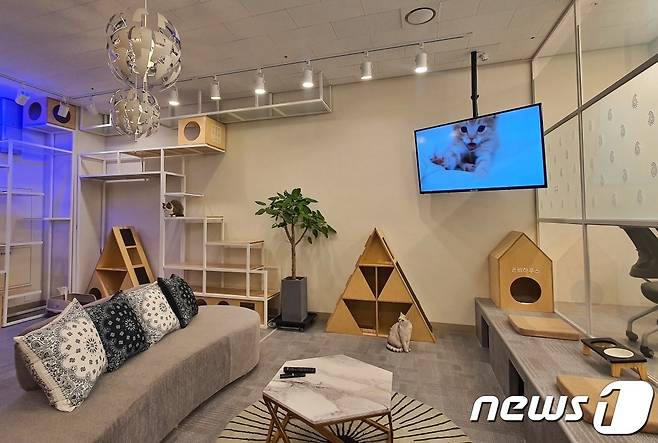 경기 하남시 우다다(어나더베이비) 본사. 고양이 2마리가 상주해 있다. © 뉴스1 최서윤 기자