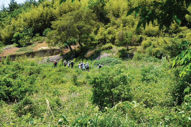 미국마을을 지나 두곡해수욕장으로 이어지는 청룡산 자락길은 한여름날에도 시원한 숲그늘이 드리운다.