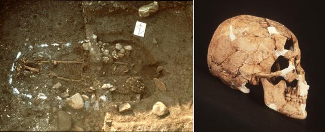 연대도 1호무덤의 발굴 장면(왼쪽)과 5호 인골의 두개골. 임학종 관장 제공