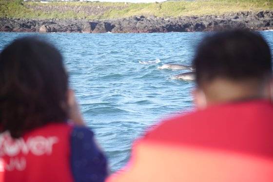 돌고래 탐사선 위에서 남방큰돌고래를 관측 중인 사람들. 사진 디스커버제주