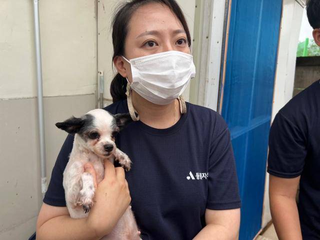 이나혜 동물자유연대(동자연) 활동가가 임신한 개를 안고 있다. 활동가들은 개에게 아뭉이라는 이름을 지어주었다. 고은경 기자