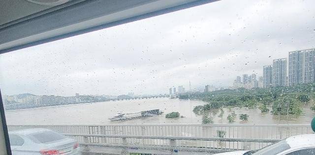 9일 오전 반포대교 밑 한강 수위가 나무 위까지 올라와 있다. 독자 제공