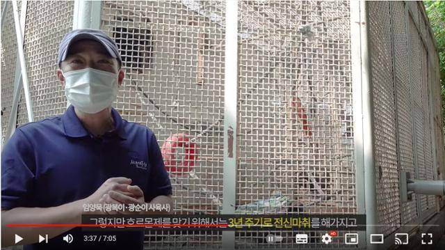 침팬지 사육사가 광복이, 관순이가 지내는 열악한 환경을 보여주고 있다.