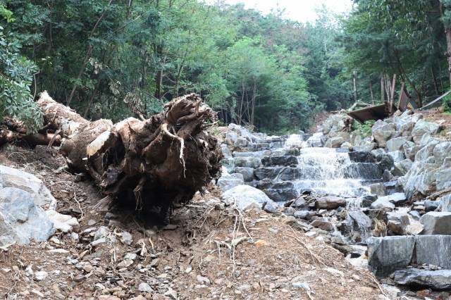 10일 서울 서초구 우면산 도시자연공원 등산로 일대가 지난 폭우에 발생한 산사태로 목재 다리가 무너지고 나무가 뿌리째 넘어지는 등 심하게 훼손돼 있다. 연합뉴스