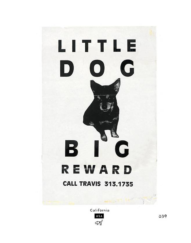 “개는 작지만 보상은 커요.” 미국 캘리포니아에서 저자가 수집한 반려견 실종 포스터. 생각비행 제공