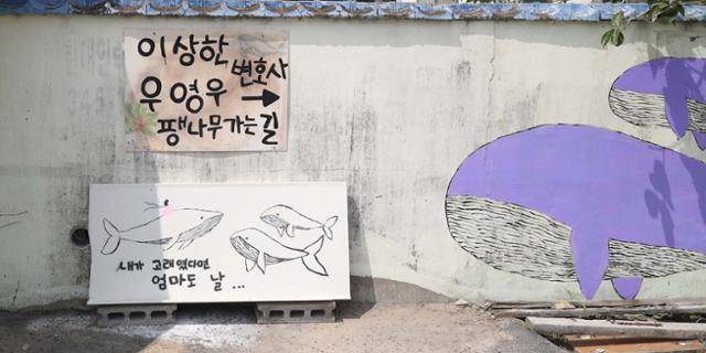 경남 창원시 의창구 대산면 동부마을에 '우영우 나무(창원북부리 팽나무)'를 기념하는 벽화가 그려져 있다. 이 나무는 ENA 드라마 '이상한 변호사 우영우'에 '소덕동 팽나무'로 등장했고, 최근 온·오프라인에서 큰 인기를 끌고 있다. 연합뉴스