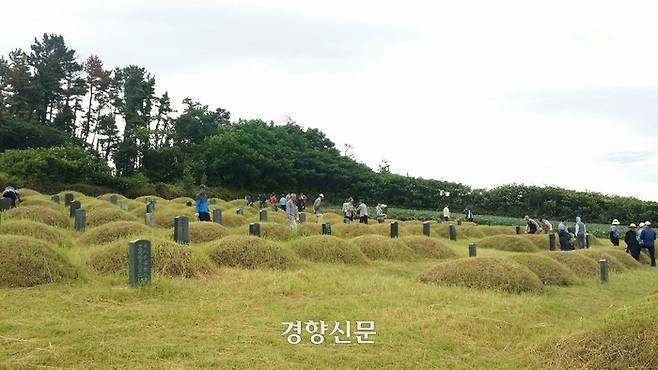 제주의 한 문중에서 대규모로 모여 벌초를 하고 있는 모습. 박미라 기자