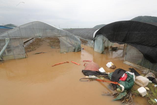 14일 오후 충남 청양군 장평면 농가 비닐하우스들이 전날 내린 폭우로 물에 잠겨 있다. 청양=연합뉴스