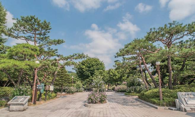 서울 궁정동 무궁화동산. 산림청 제공