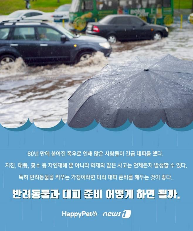재난 발생 시 반려동물과 대피 방법 ⓒ 뉴스1
