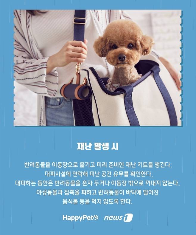 재난 발생 시 반려동물과 대피 방법 ⓒ 뉴스1