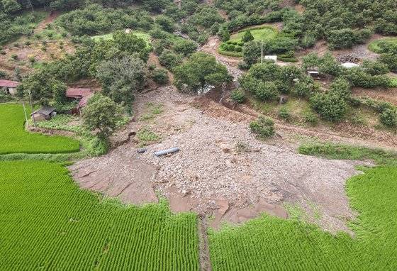 16일 충남 청양 남양면 온직리에 위치한 논에 폭우로 쓸려내린 토사가 쏟아져 있다. 뉴스1