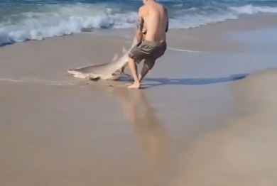 지난 14일 미국 뉴욕주 롱아일랜드섬에 있는 해변에서 한 남성이 도망 가려는 상어 꼬리를 붙잡고 장난을 치는 영상이 공개됐다./사진=트위터
