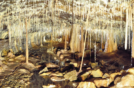 세계유산축전 제주 당처물동굴