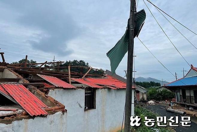 전북 정읍시 이평면 무릉마을에 돌풍이 휩쓸고 지나면서 주택의 지붕이 무너져 내렸다.