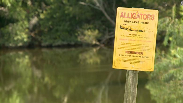 미국 사우스캐롤라이나의 유명 실버타운에 거주하는 88세 할머니가 시설 내 연못에서 악어에 물려 사망한 것으로 알려졌다. 사고가 발생한 실버타운에 비치된 악어 주의 표지판. CNN 캡처