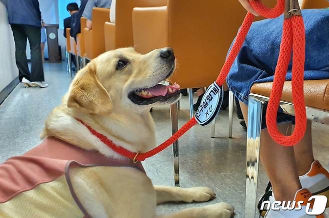 건국대학교와 현대자동차는 18일 서울 광진구 건국대에서 반려동물 헌혈센터 'KU 아임도그너(KU I'M DOgNOR) 헌혈센터' 개소식을 진행했다. ⓒ 뉴스1 최서윤 기자
