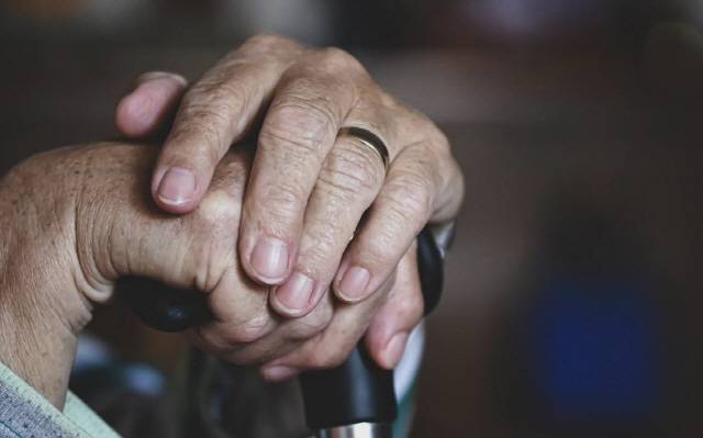 사진출처=픽사베이