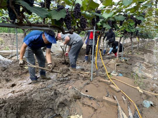 18일 충남교육청과 도내 14개 시·군 교육지원청은 수해 피해를 입은 청양군과 부여군에 수해복구 작업을 지원하고 있다. 사진=충남교육청 제공