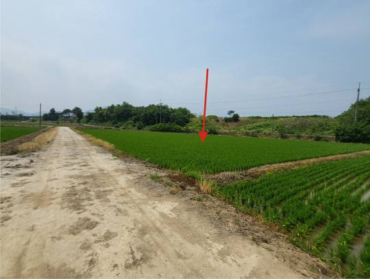 충남 예산군 삽교읍 송산리 소재 답.