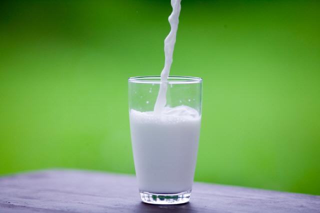 우유를 과도하게 섭취하는 사람은 그렇지 않은 사람보다 인지기능이 더 많이 떨어진단 연구 결과가 나왔다./사진=클립아트코리아