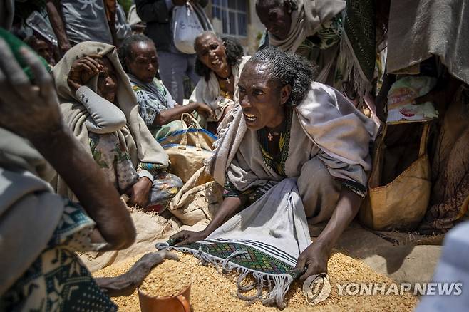 에티오피아 티그라이 식량 위기  식량난이 극심한 에티오피아 티그라이 지역에서 올해 5월 한 여성이 분배된 노란 완두콩을 놓고 논쟁하고 있는 모습. [AP 연합뉴스 자료사진. 재판매 및 DB 금지]