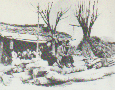 1940년 평안남도 대동군 임원면 한 신작로에서 석주명-김윤옥 부부. 별장 가는 길이다. 가로수에 담뱃가게('연초') 간판이 눈길을 끈다.