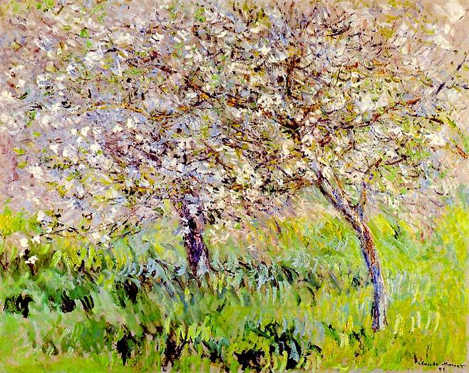 클로드 모네, Apple Trees in Blossom at Giverny