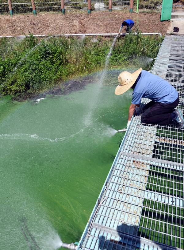 물금취수장. 국제신문 DB