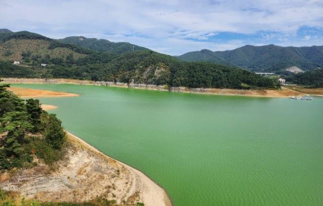1일 임실지역에서 바라본 옥정호 모습. 넉달째 이어진 녹조현상으로 물이 온통 녹색으로 변해 있다.