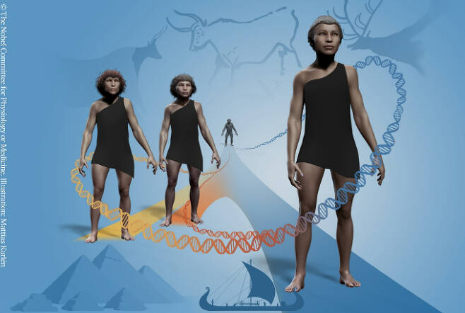 페보 소장의 가장 잘 알려진 업적은 2008년 러시아 데니소바 동굴에서 발견된 멸종 인류 ‘데니소바인’의 DNA를 바탕으로 해당 고대인의 유전자 지도를 해독한 것이다. 당시 데니소바인의 손가락 부분 뼈에서 채취한 손상된 DNA를 재조합했다. 노벨상위원회 제공