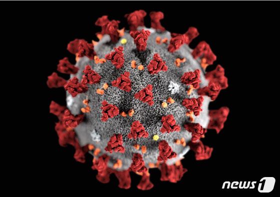 미국 질병통제예방센터(CDC)가 제작한 2019 신종 코로나바이러스 모형도. ⓒ 로이터=뉴스1