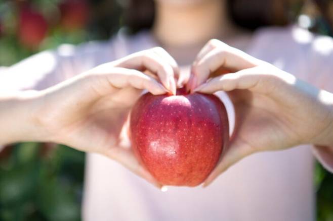 사과는 항암 및 종양 퇴치 효과가 있는 식품으로 꼽힌다. [사진=클립아트코리아]