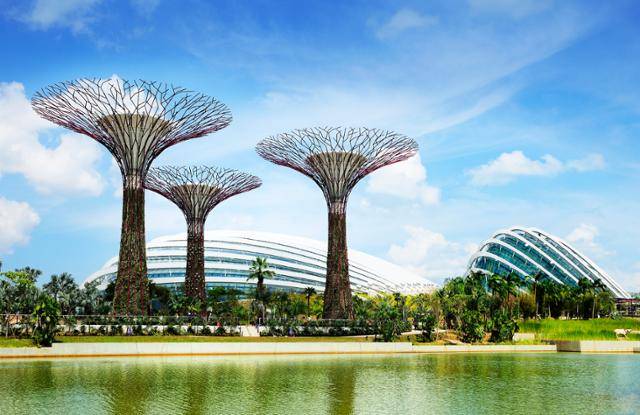 싱가포르 '가든스 바이 더 베이'의 슈퍼트리. 싱가포르를 여행하는 한국인이 가장 많이 찾는 곳이다. 싱가포르관광청 제공
