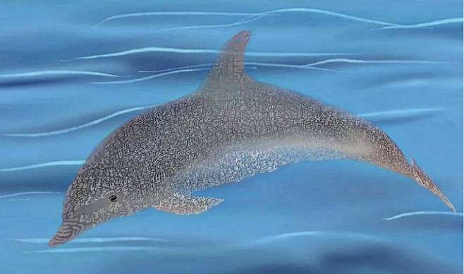 “제주도 서귀포시 대정읍에 가면 삼팔이, 춘삼이, 복순이가 아기 돌고래들과 함께 헤엄치는 모습을 자주 볼 수 있다고 합니다. 수족관에 붙잡혀 돌고래 쇼를 하다가 대법원 판결에 의해 제주 바다로 돌아간 남방큰돌고래들입니다. 언젠가는 꼭 보러 갈 겁니다.” <이상한 변호사 우영우>의 대사 중. 진관우 작가 제공