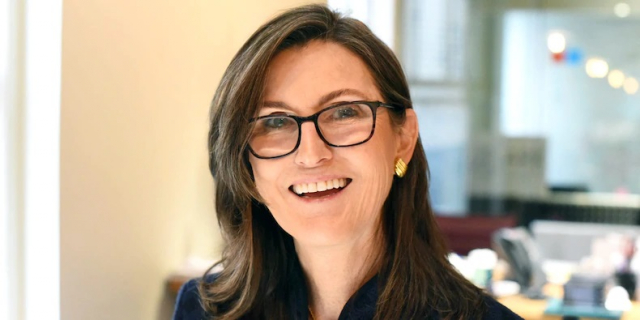 캐시 우드 아크 인베스트먼트 최고경영자(CEO)