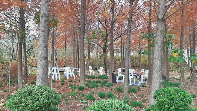 숲 속 정원 같은 해남 문가든에서 힐리의 시간을 보낼 수 있다.