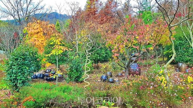 해남 문가든에서 아름다운 자연 풍광 즐기며 산책하며 힐링할 수 있다.