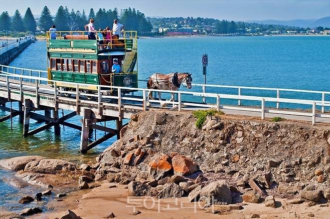 빅터 하버의 '말이 끄는 트램' /사진-남호주 관광청, 그레이엄 쉬어(Graham Scheer)