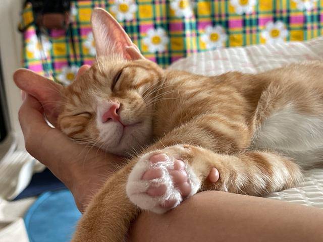 잘 때가 제일 예뻐~