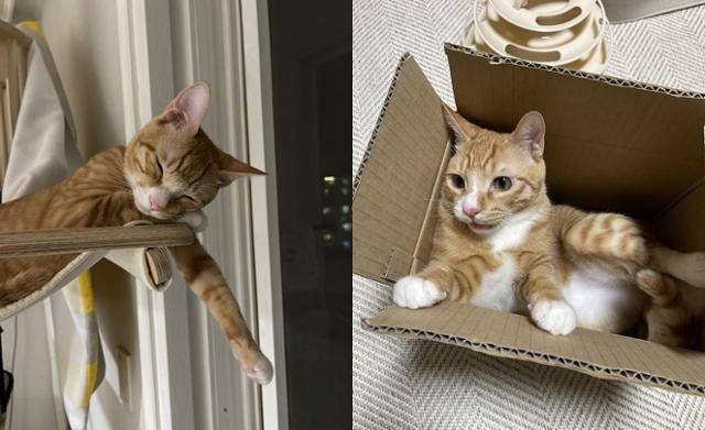 이리봐도 저리봐도 귀엽네