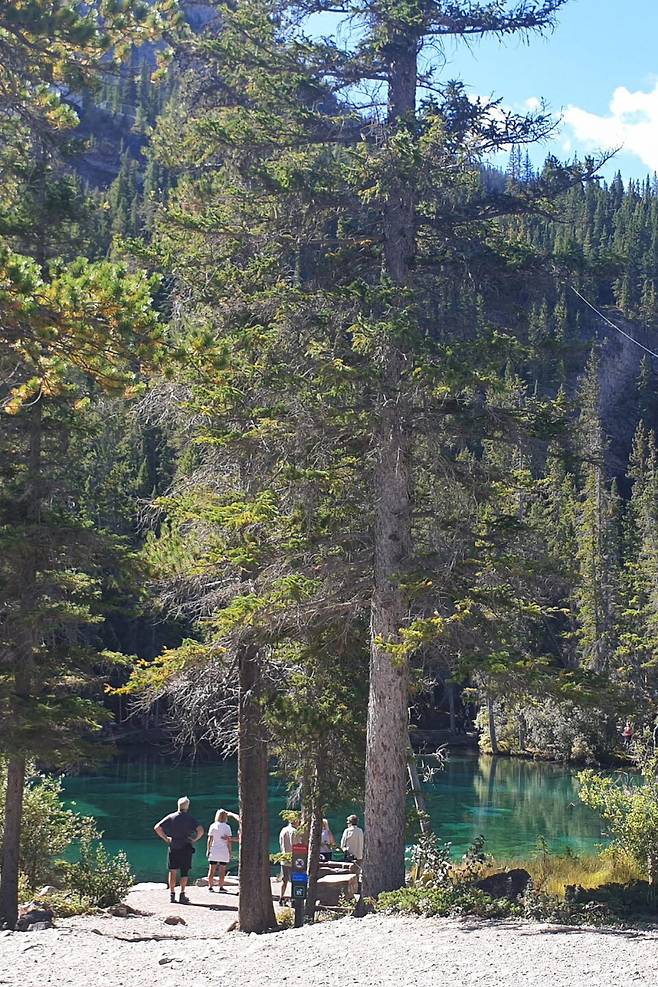 울창한 나무 숲 사이로 보이는 청록의 물 빛이 마음을 설레게 한다