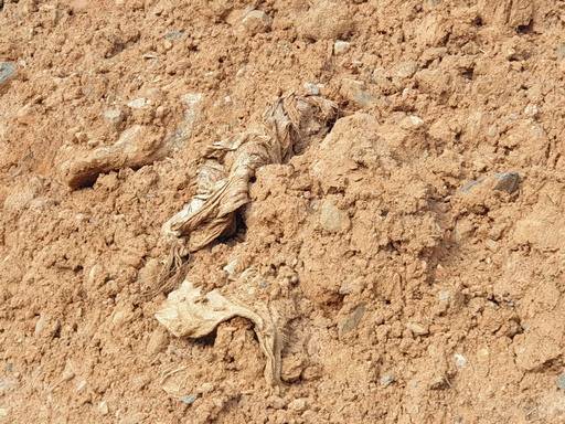 충남 보령시 청라면 라원2리 상중마을 뒷산에 불법 매립된 사업장폐기물이 흙더미에 섞여 드러난 모습이다.