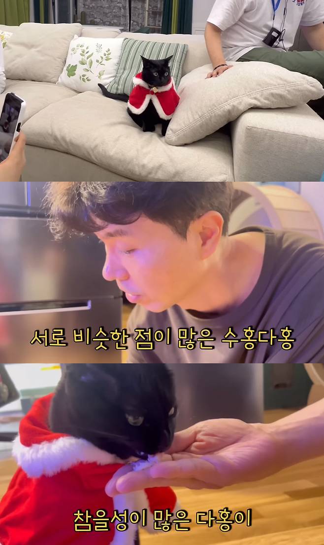 On the 18th, Black Cat Dahong, the video came up with the article What is Dahongs reaction when shooting Father Suhong?The video contains Park Soo-hongs house Scenery, which is being filmed on KBS2 Stars Top Recipe at Fun-Staurant, and Daehong wearing Santa clothes.Dahongi surprised everyone by sitting calmly in a complicated atmosphere where the director and staff were gathered.Park Soo-hong boasted of Da-hongs affinity, saying, There are so many people, but who is so calm? Even though Im next to the coach, this is how it is.Da-hong had the love of the staff, and even when Da-hong ate the red crab, the staff said, Wow.Park Soo-hong also admitted, So Father is a deacon, and Father is a deacon.Park Soo-hong said, I think hes really my son. Its not a lie. He said he was so gentle when I was young. He didnt cry, he didnt cry, and he didnt throw a tantrum.The other kids dont like water, so they make a fuss, but she puts up with it.On the other hand, Park Soo-hong has not appeared on MBN Dongchimi show Dongchimi since the 12th, and Dongchimi said, Park Soo-hong rests in MC for a while.Park Soo-hong will resume recording from the end of December after resting for about two months, he said.