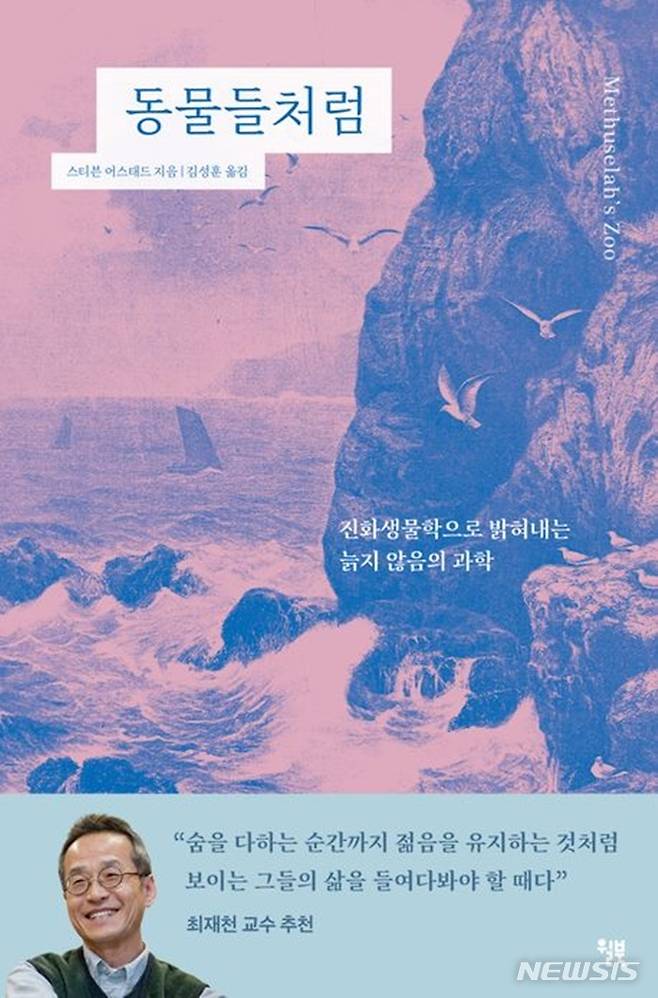 [서울=뉴시스] '동물들처럼'. (사진=윌북 제공) 2022.11.23. photo@newsis.com *재판매 및 DB 금지