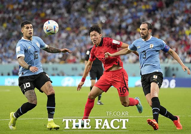 24일(현지시간) 카타르 알라이얀 에듀케이션 시티 스타디움에서 열린 2022 카타르 월드컵 H조 1차전 대한민국과 우루과이의 경기에서 황의조가 우루과이의 마티아스 올리베라(왼쪽), 디에고 고딘과 공을 다투고 있다. /알라이얀=AP.뉴시스
