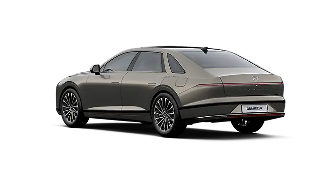 유기 브론즈 메탈릭 - 후면